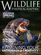 Wildlife Photographic Magazine - обложка издания